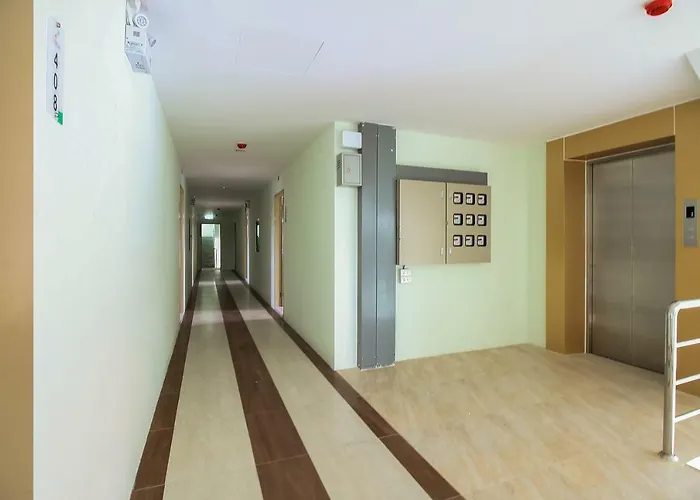 Hotel Oyo 243 The All 3*